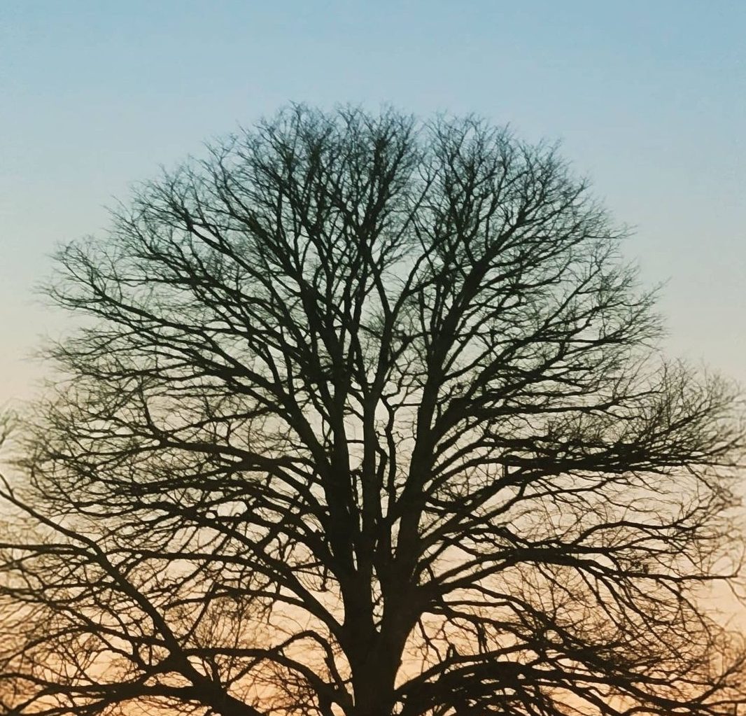 Women's Self Esteem And Sexuality